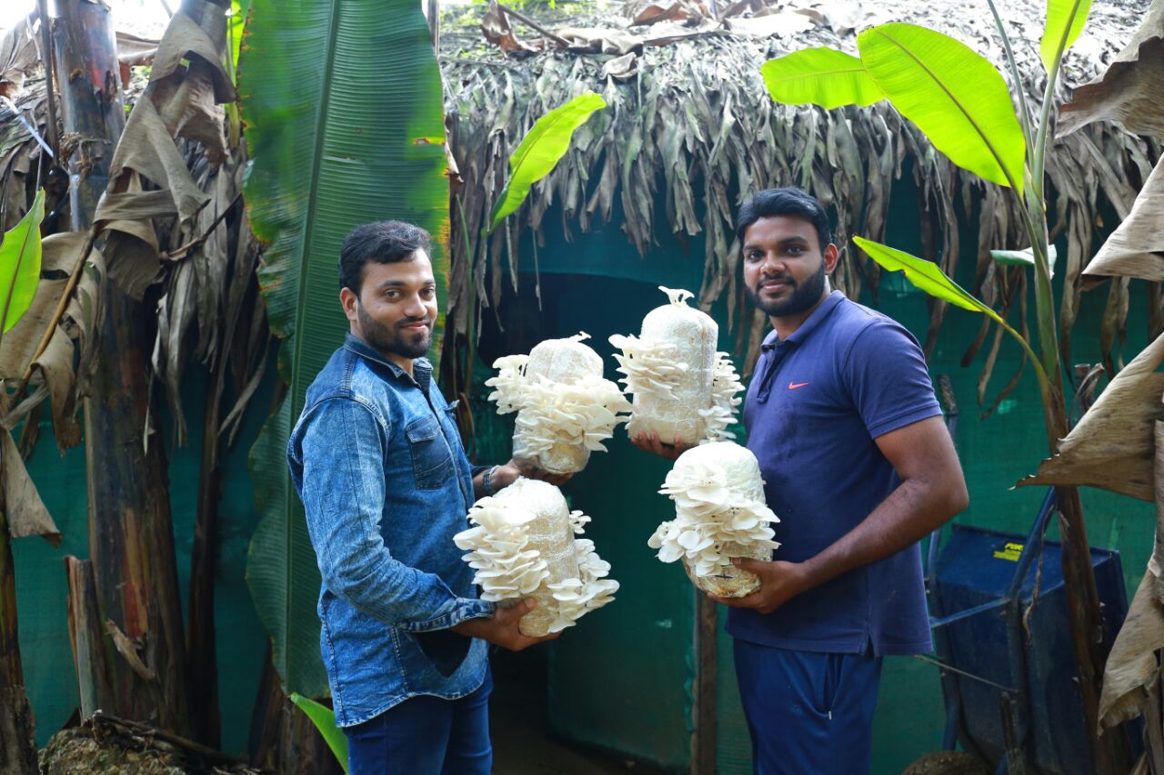 Kerala mushroom farmers
