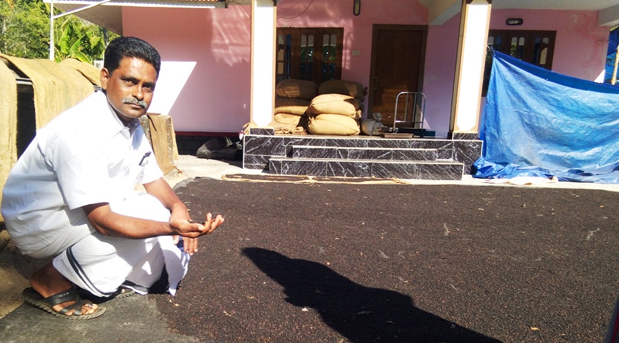 Kerala tribal village exports organic black pepper
