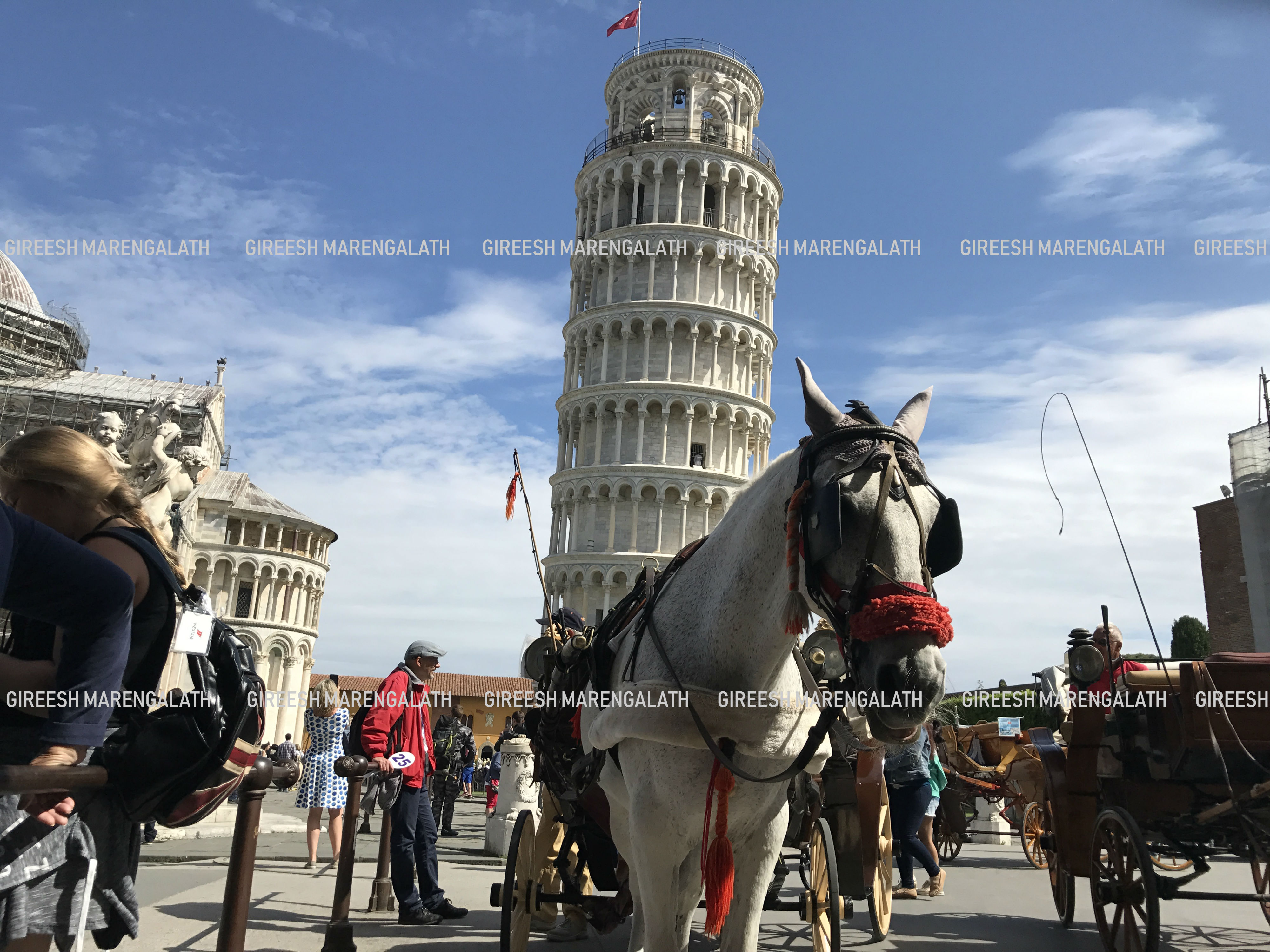 Mobile phone photo of Pisa Leaning Tower, Italy. Photo credit: Gireesh Marangelath