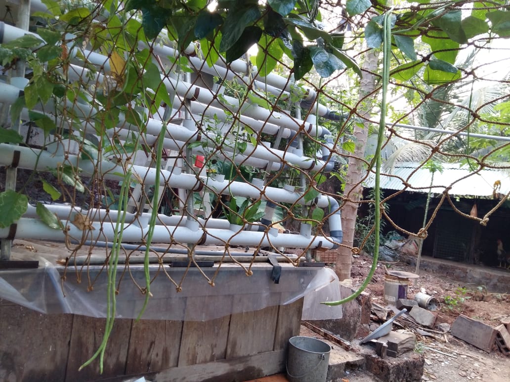 Vertical aquaponics by Abu Haji Vertical aquaponics by Abu Haji