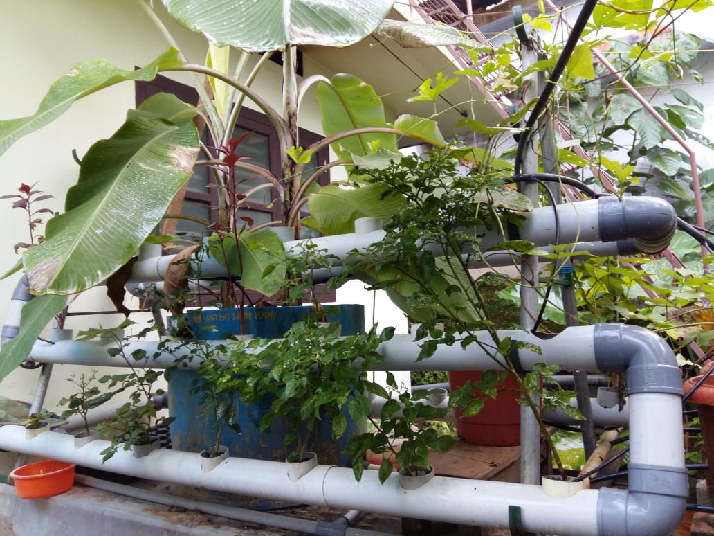 Vertical aquaponics by Abu Haji Vertical aquaponics by Abu Haji