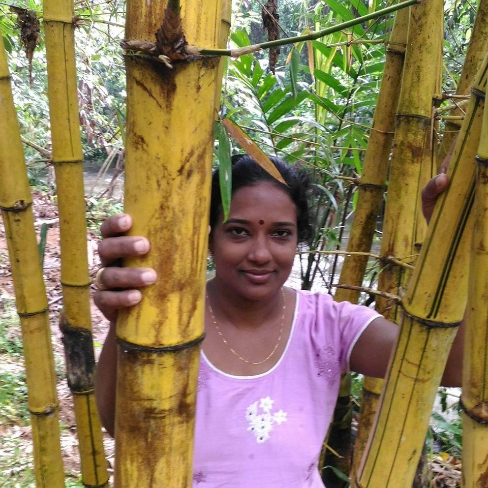 Bamboo products can be a sustainable alternative to plastic Bamboo products can be a sustainable alternative to plastic