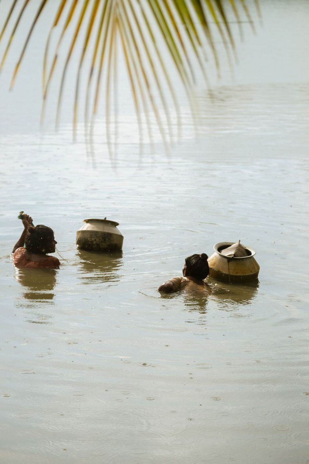 scenes from Kakkathuruthu Island, Alappuzha